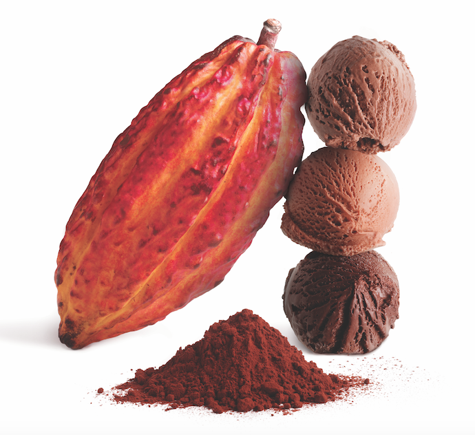 cacao pod and scoops of chocolate ice cream