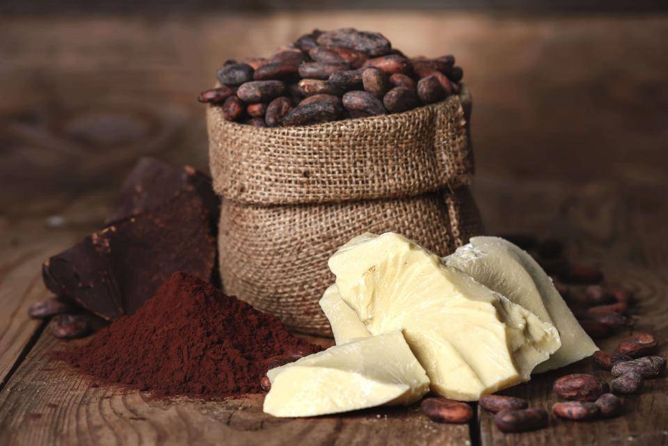 sack of cocoa beans surrounded by cocoa butter, cocoa powder, and cocoa liquor