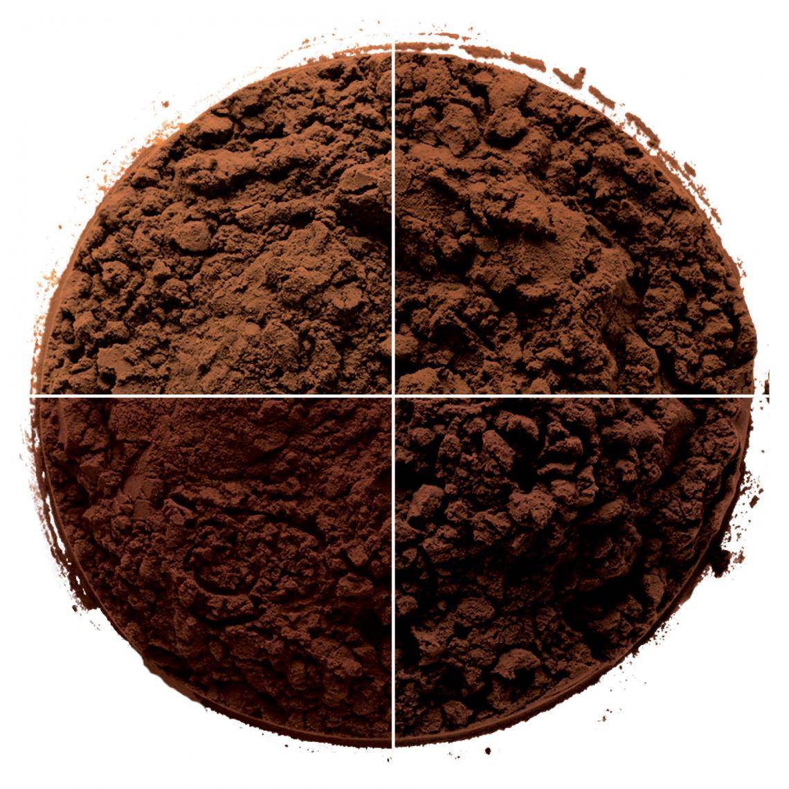 circle of cocoa powders 