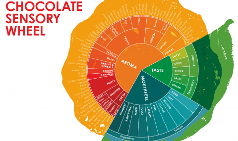 Chocolate sensory wheel
