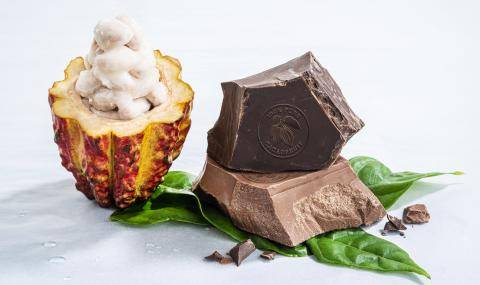 Barry Callebaut Cacaofruit Experience and Wholefruit Chocolate