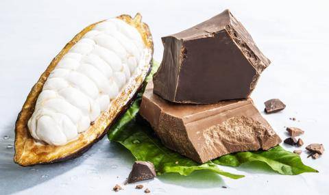 Wholefruit chocolate - Barry Callebaut