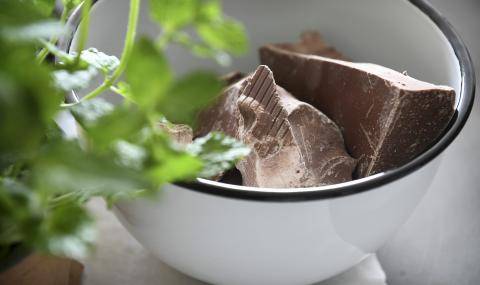 Barry Callebaut Milk Chocolate in bowl