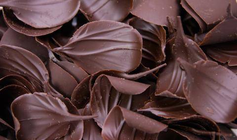 Leaves Dark (chocolate decorations)
