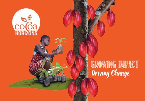 Cocoa Horizons brochure