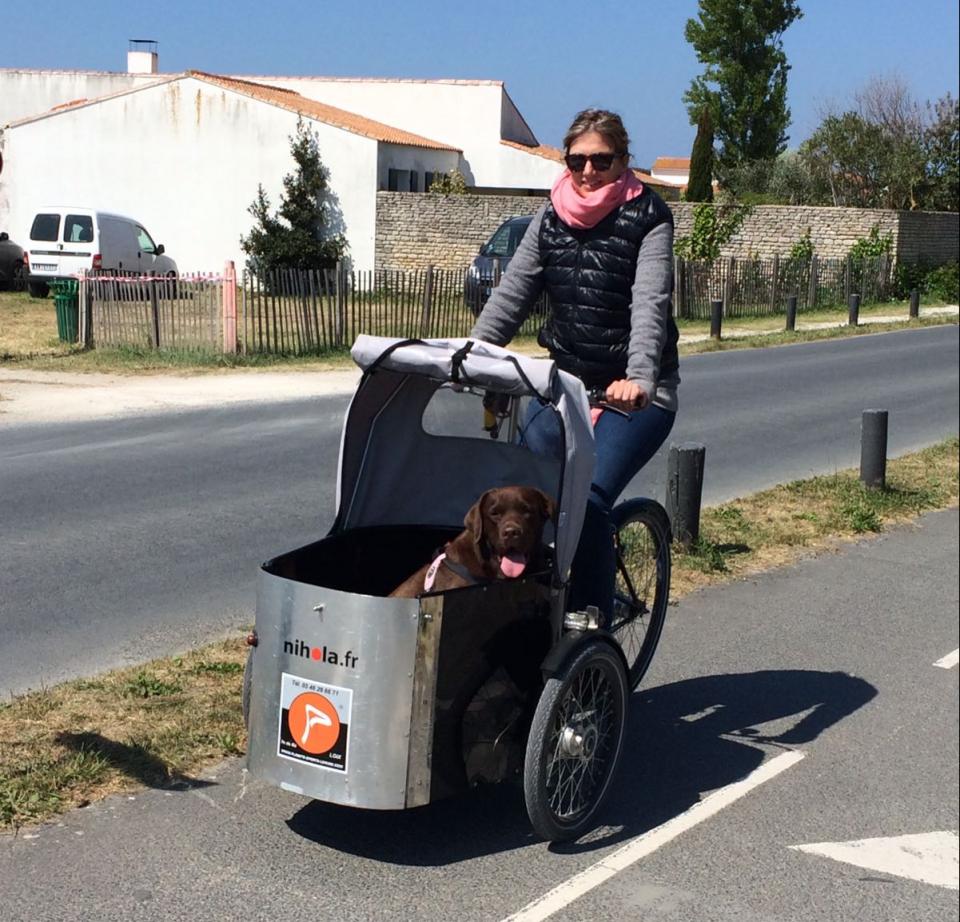 Christie Cassagne and her dog on the bicyle