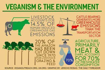 Vegan and environment