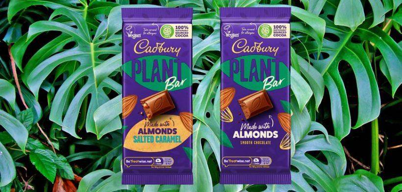 Cadbury Plant Bar chocolate tablets