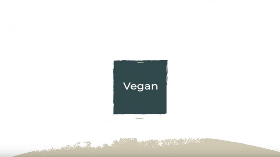 Vegan Trends