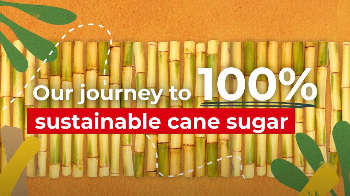 Forever Chocolate - Our journey to 100% sustainable cane sugar