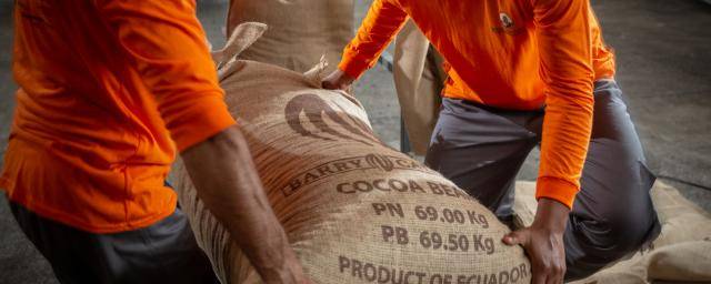 Ecuadorian cocoa farmers sustainability