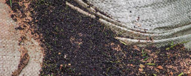Biochar: the power to reduce carbon emissions
