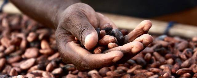 Rethinking the approach and impact of sustainability programs in the cocoa industry