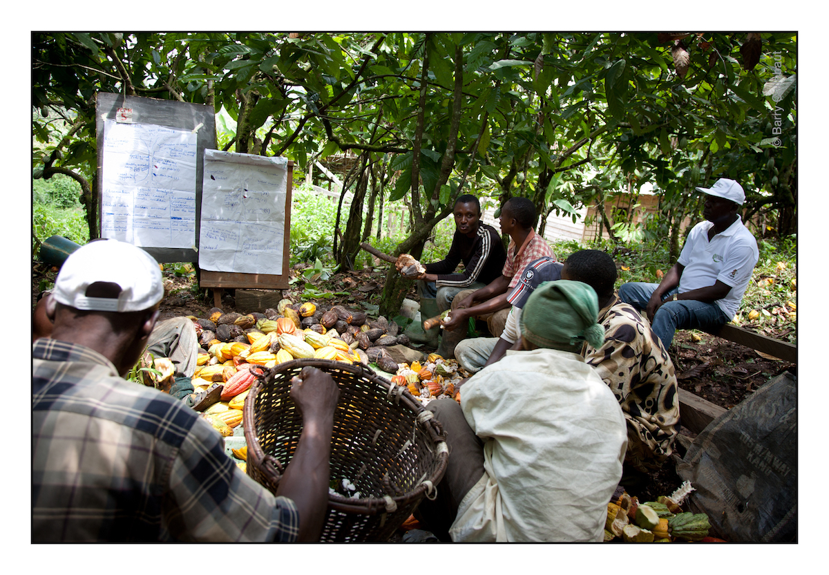 Barry Callebaut leads cocoa farmer training program in joint initiative