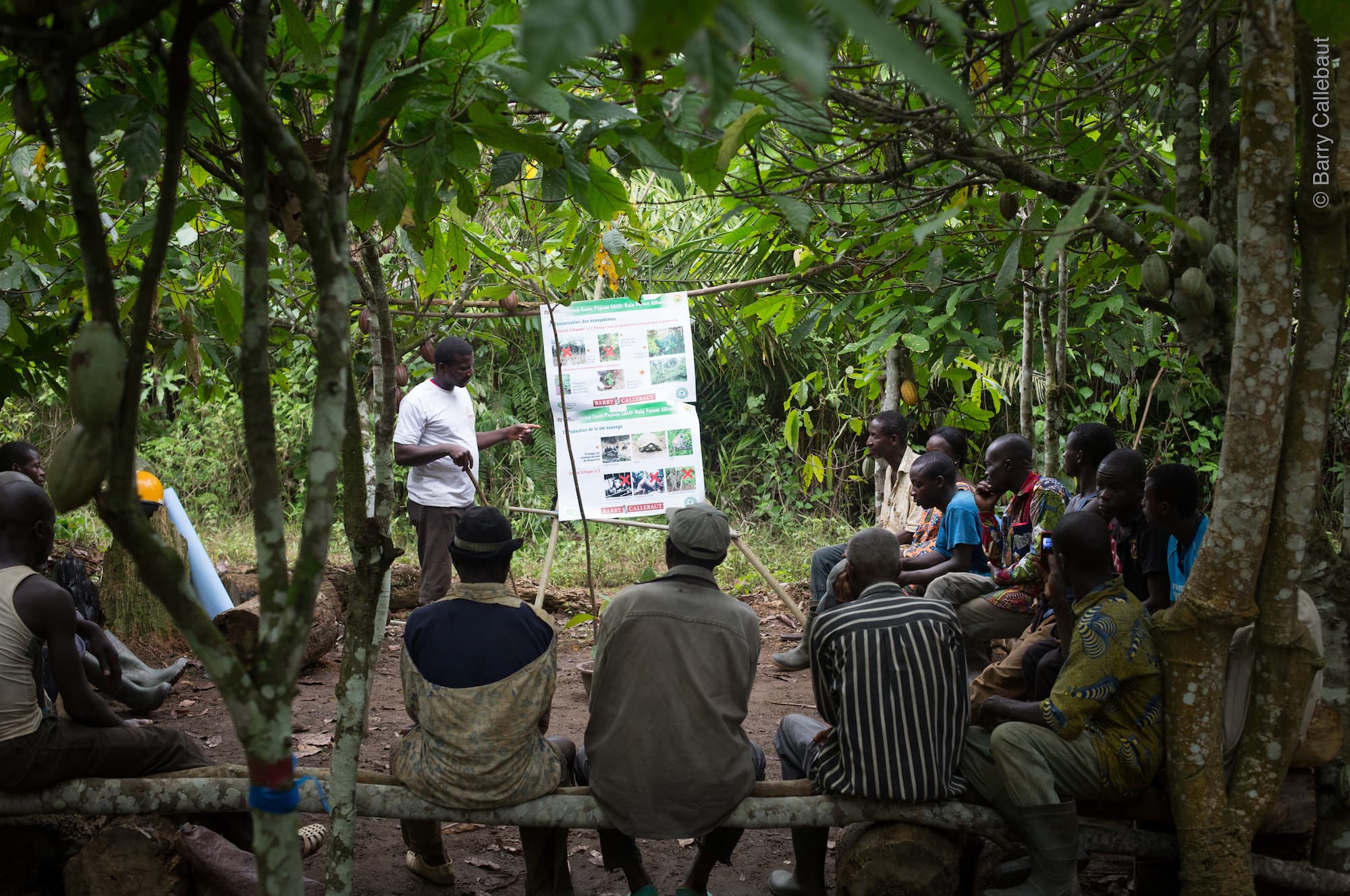 Barry Callebaut leads cocoa farmer training program in joint initiative