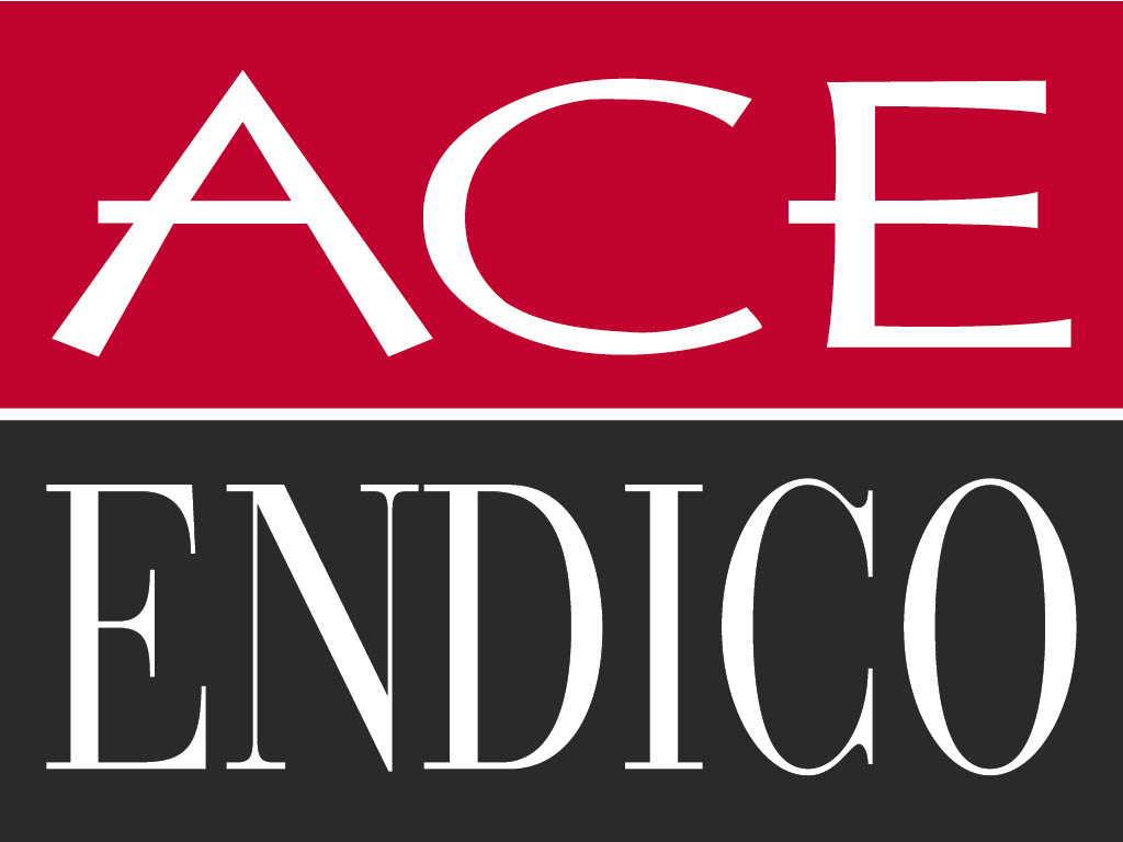 ACE ENDICO logo