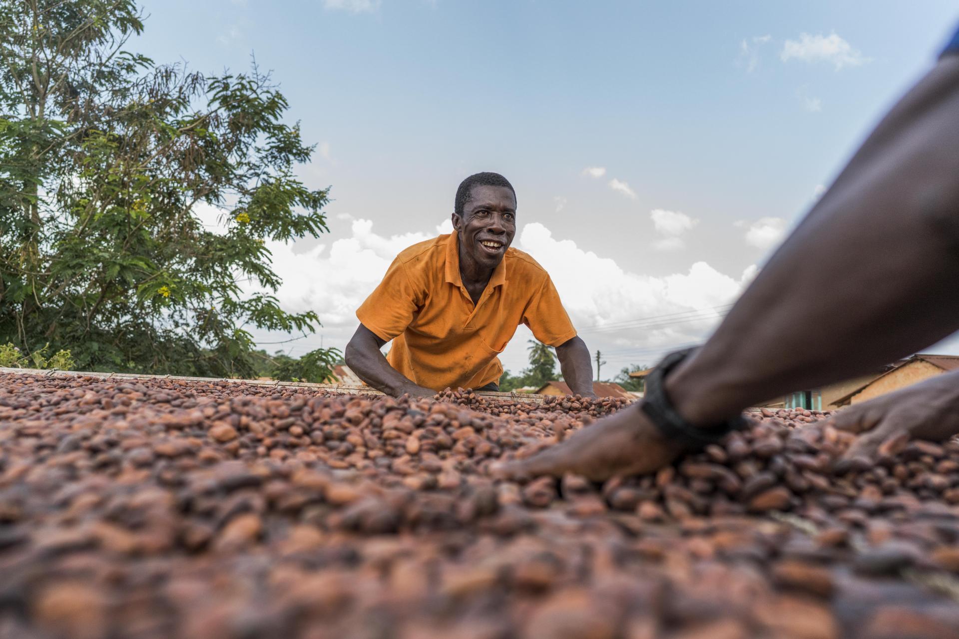 Cocoa farmer