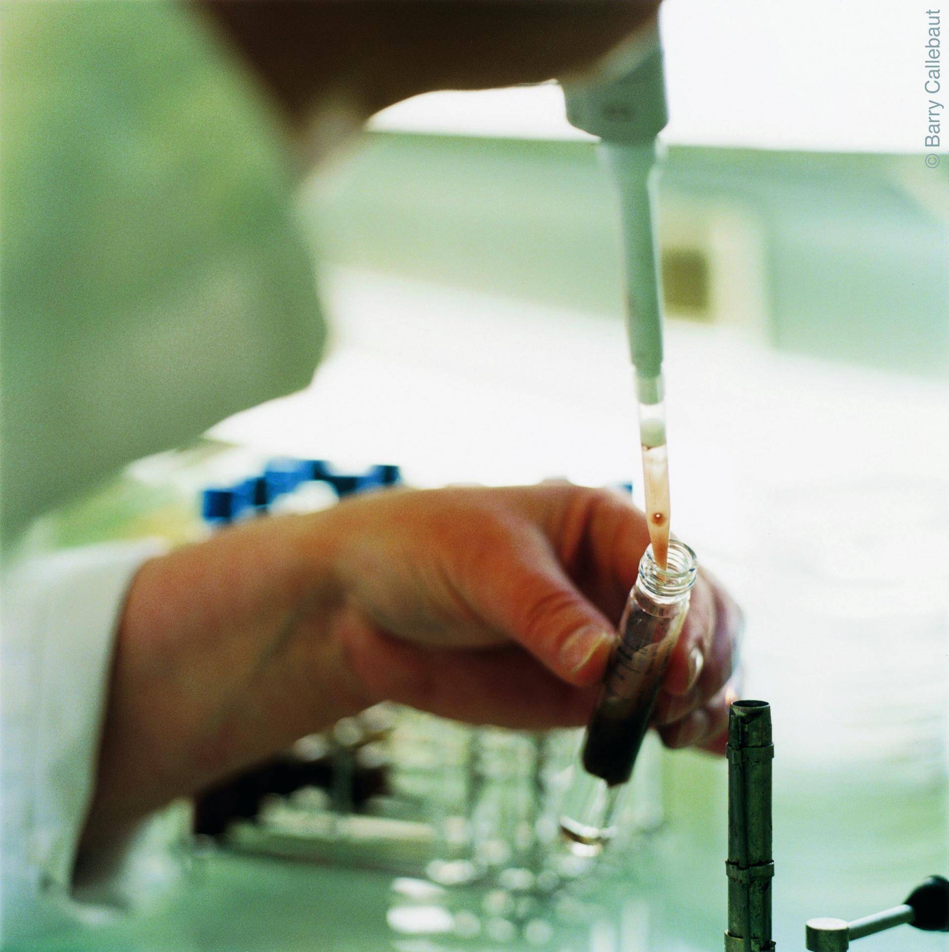 Chocolate innovation laboratory