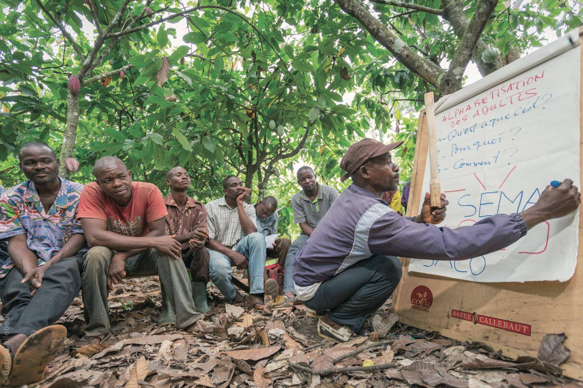 Cocoa farmer training in Côte d'Ivoire