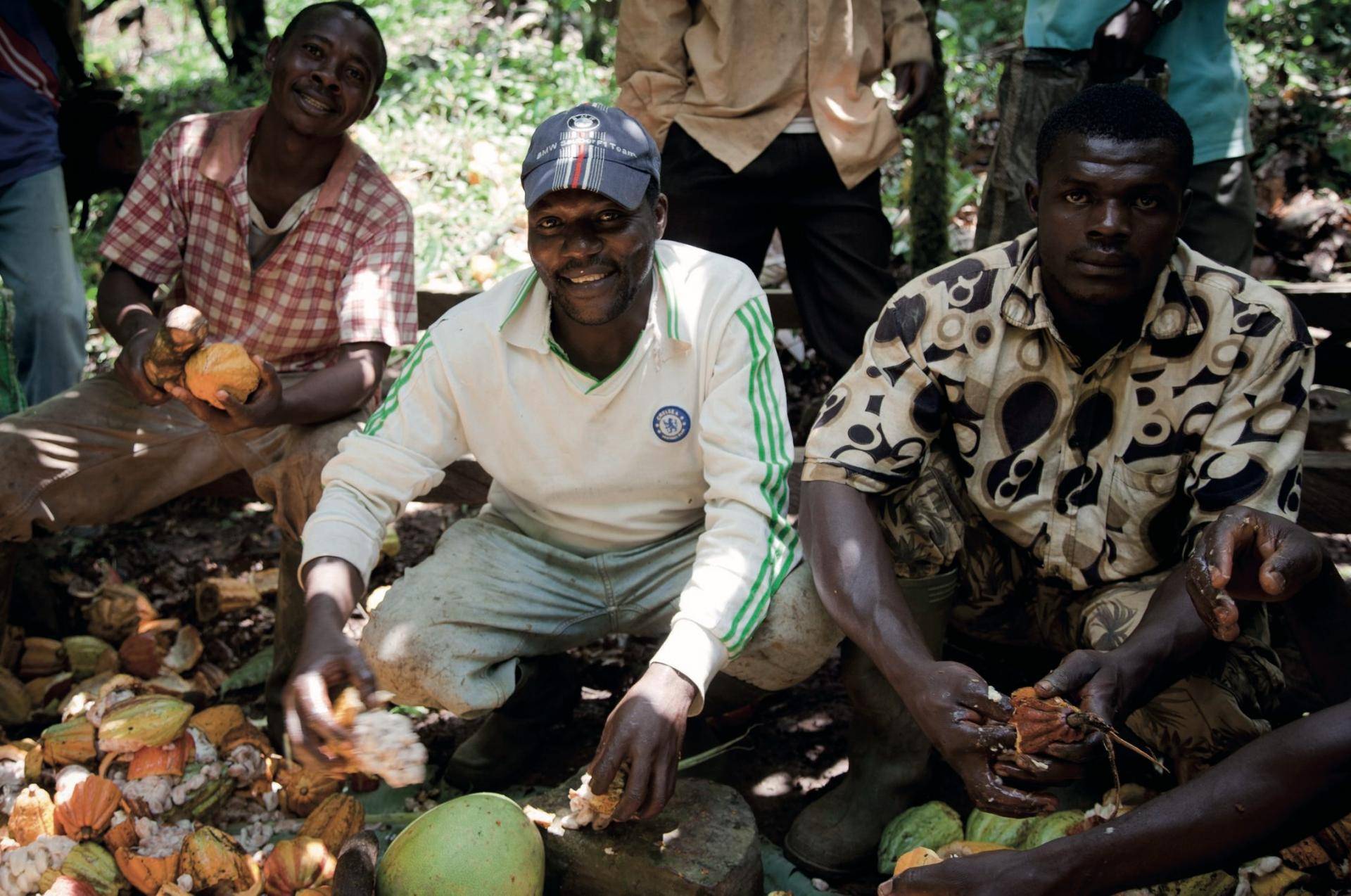 Barry Callebaut trains 50 cooperatives in Côte d’Ivoire to be certified by Rainforest Alliance