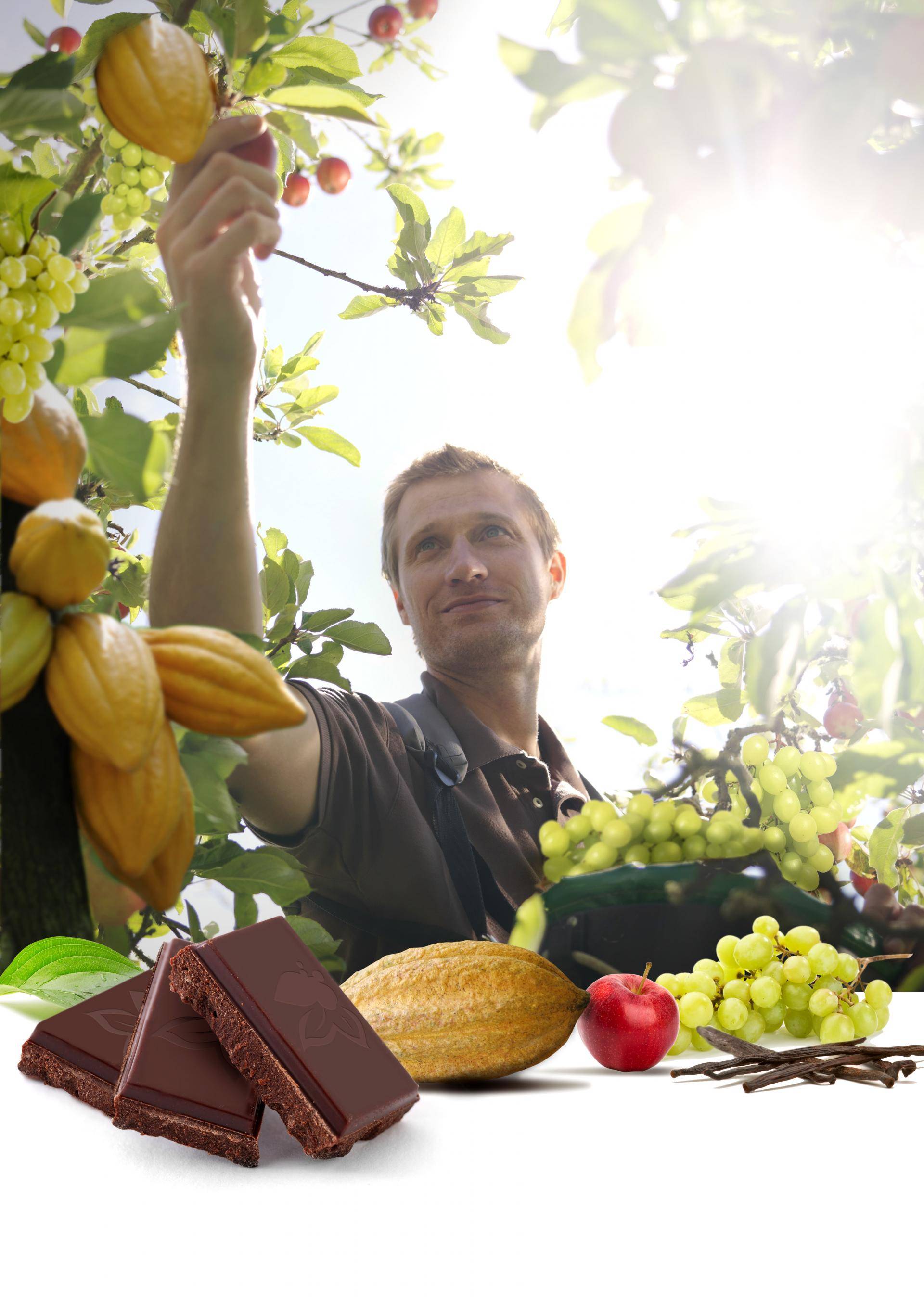 Sweet by Fruits™