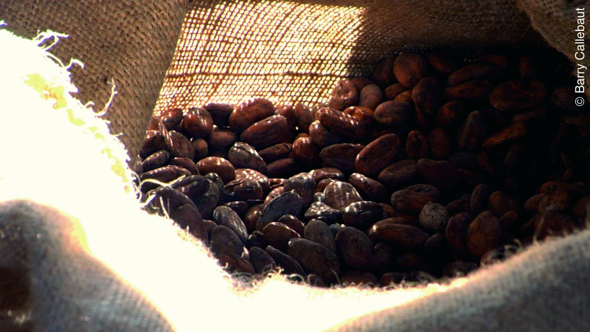 EFSA issues positive Scientific Opinion on Barry Callebaut’s health