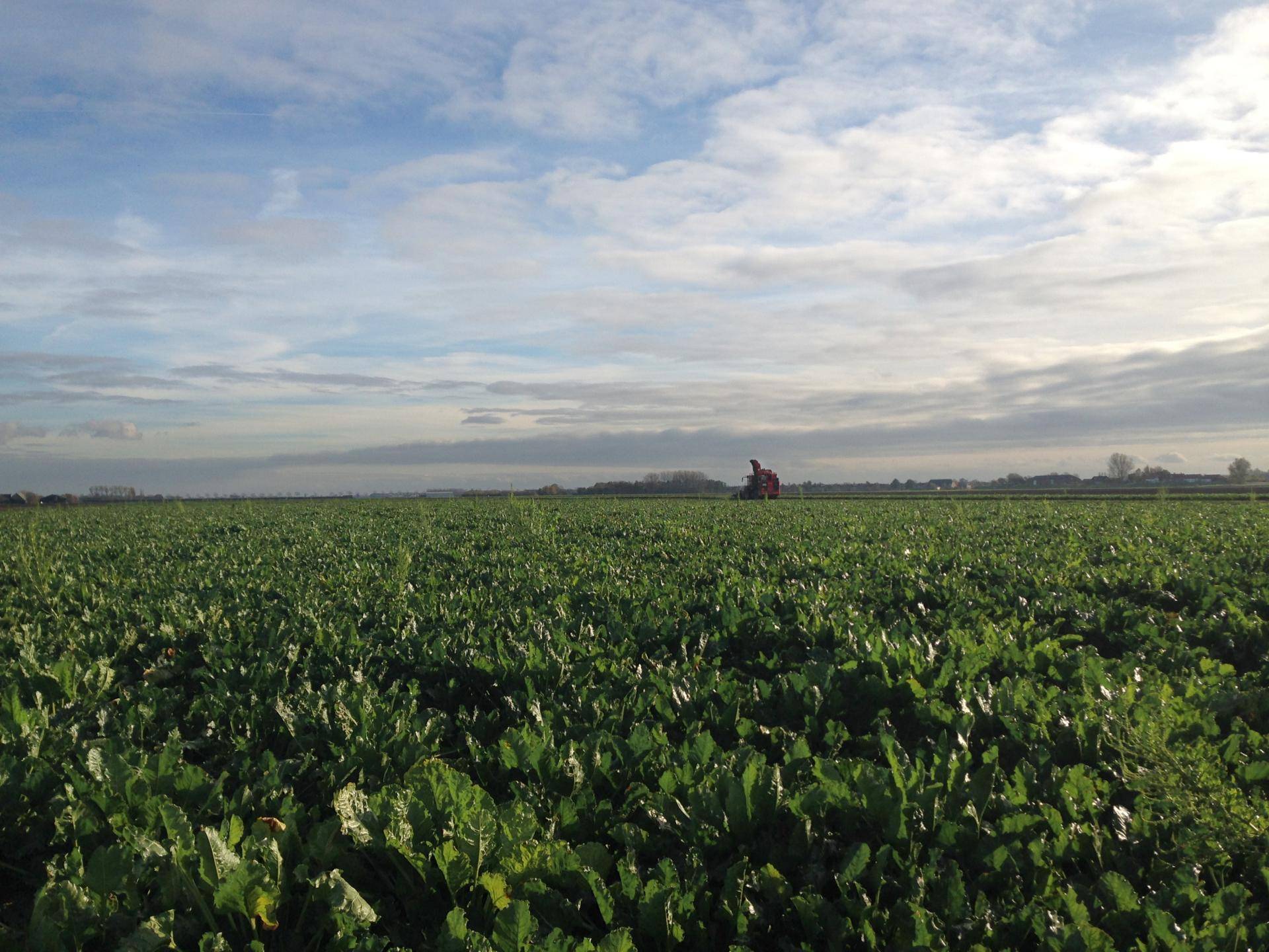 Barry Callebaut - Driving sugar beet forward