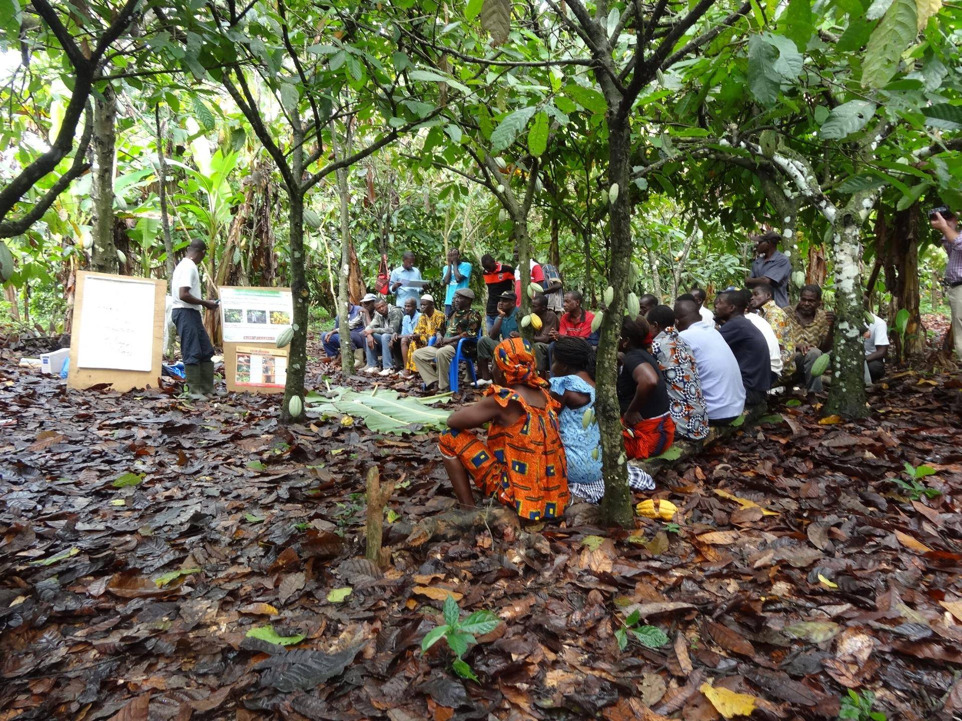 farmer field school