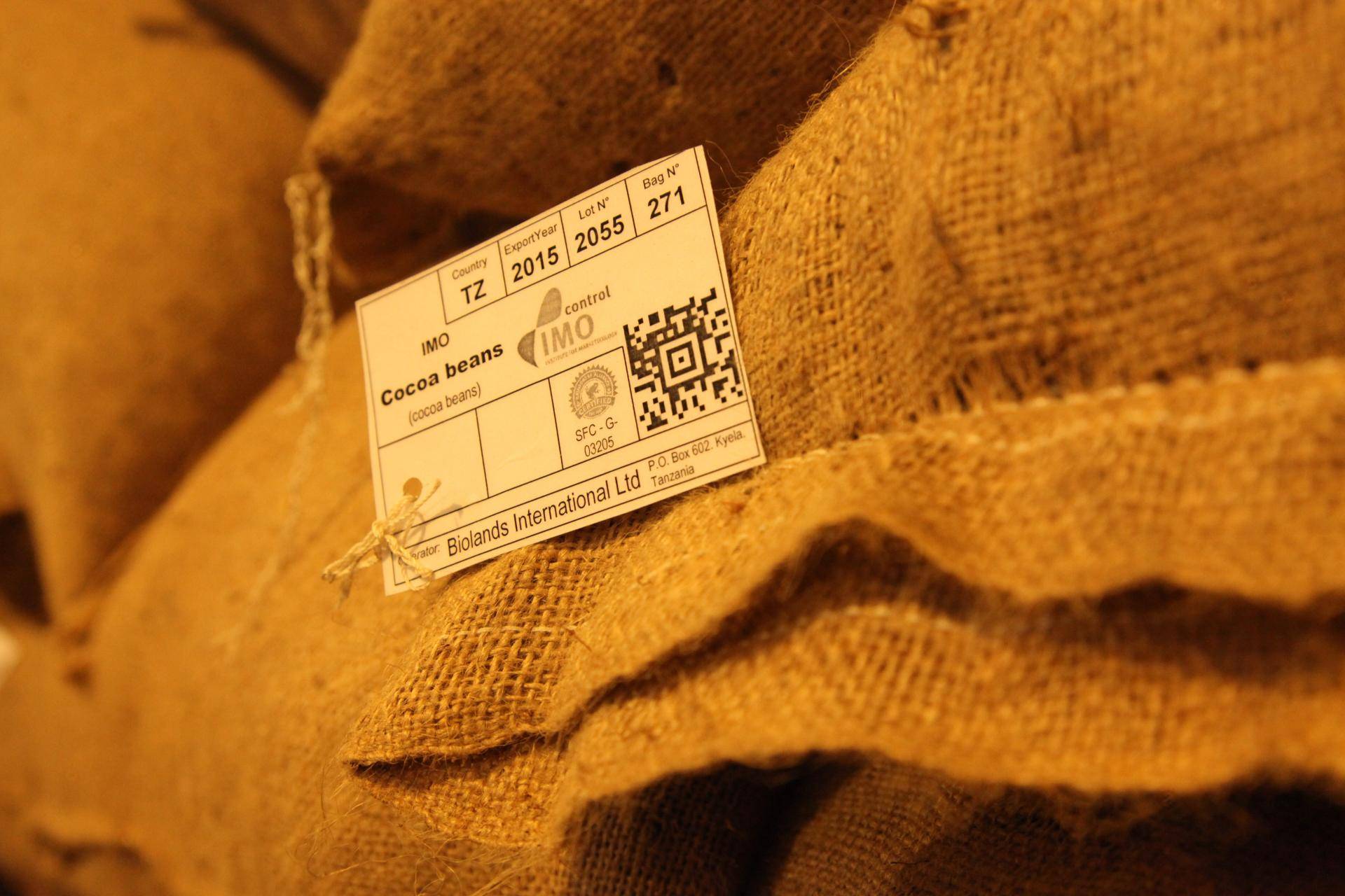 certified cocoa beans