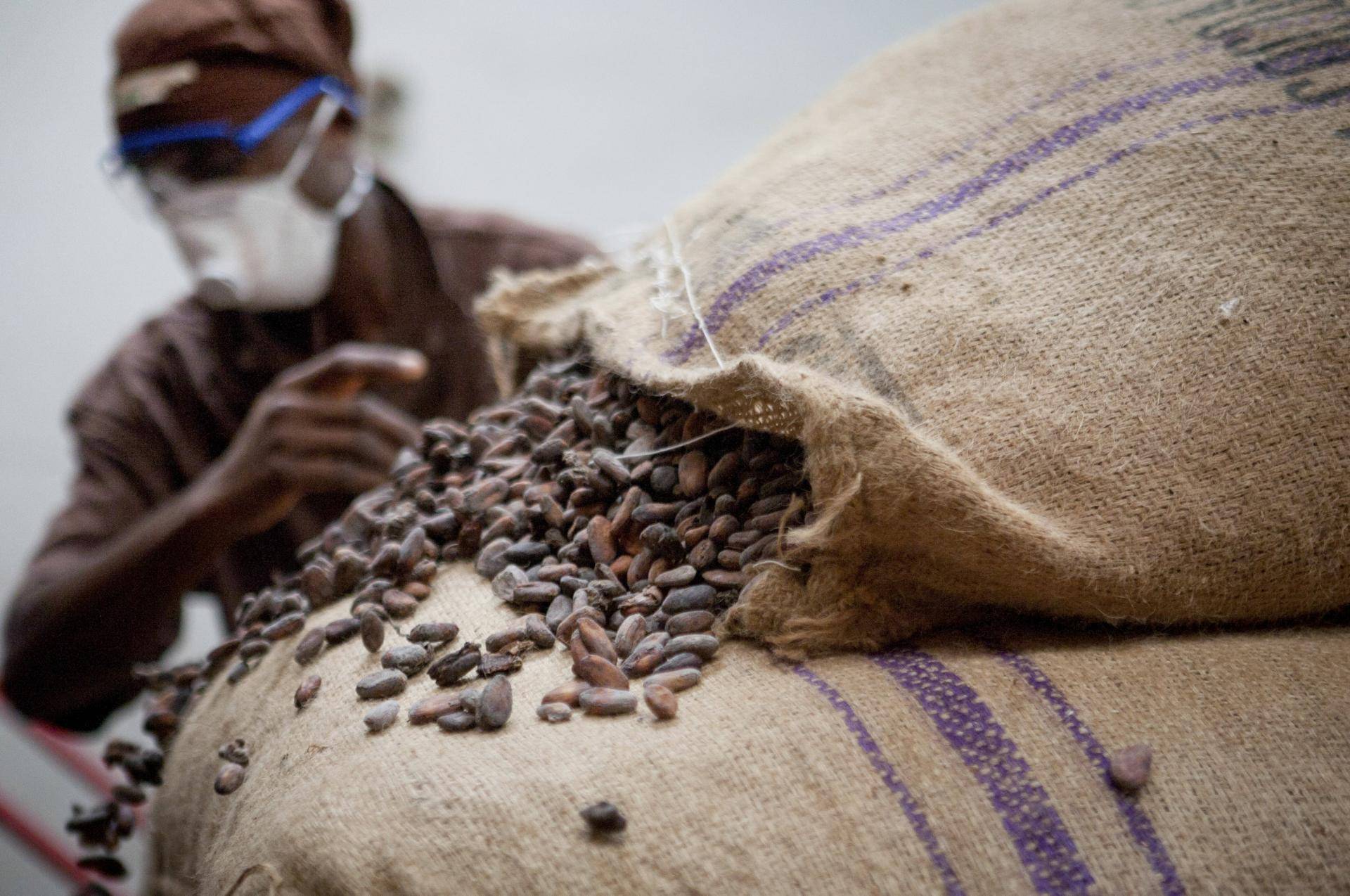 Cocoa sourcing and processing in Africa during times of COVID-19