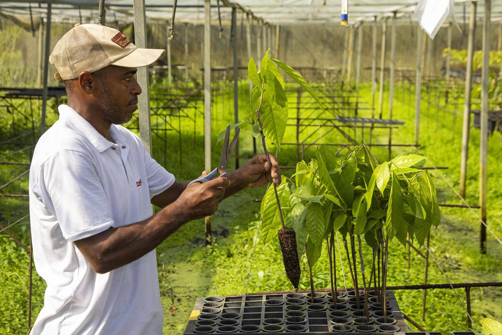 Cocoa Horizons 2023/24 Assurance Verification Report: The Year in Review