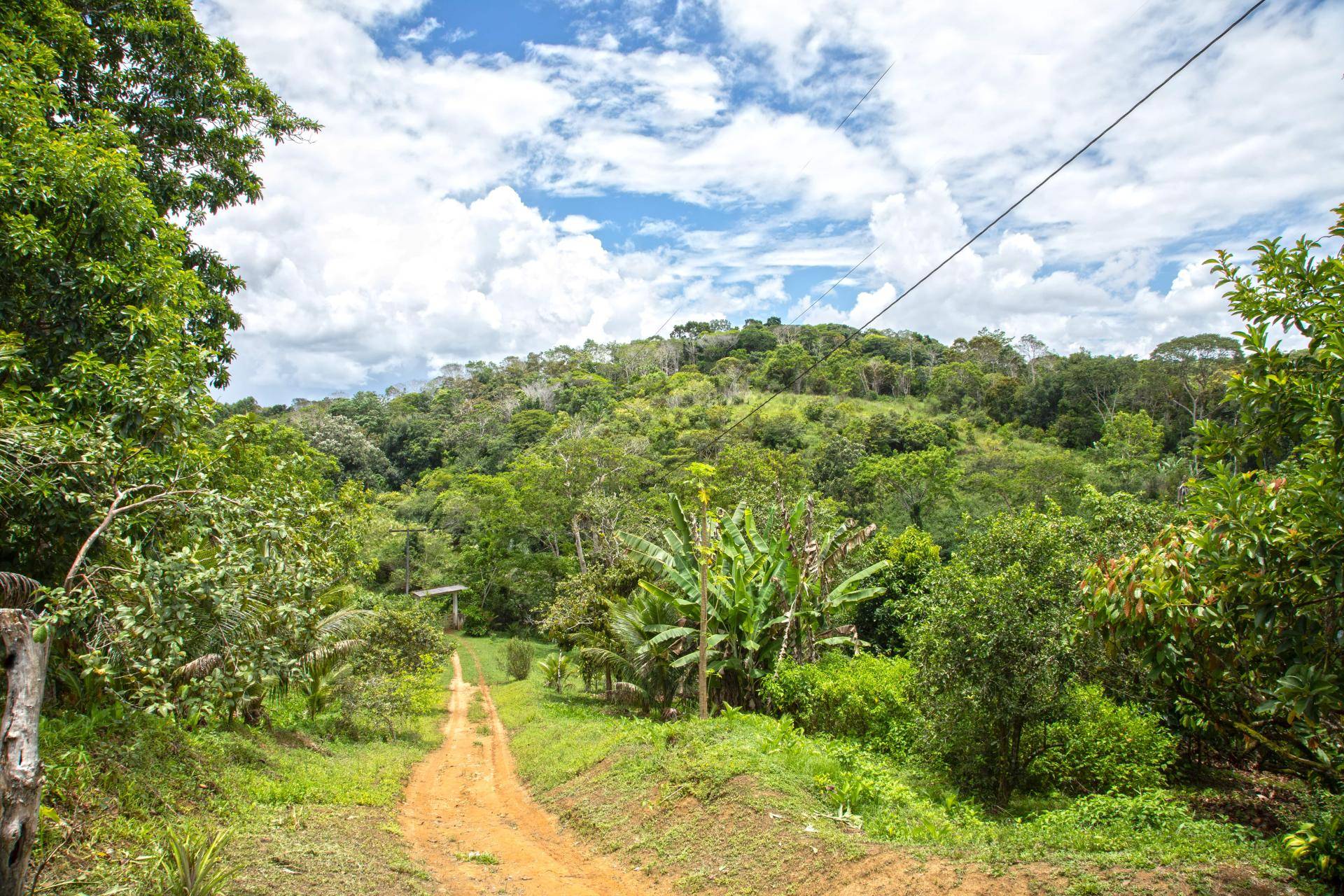 Barry Callebaut and Nestlé Partner to Accelerate Towards Net Zero Cocoa in Brazil