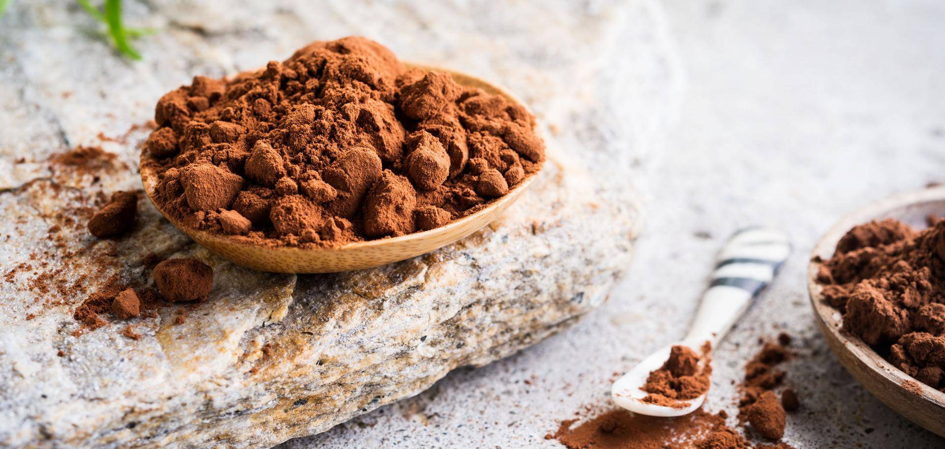 Bensdorp Organic Cocoa Powders
