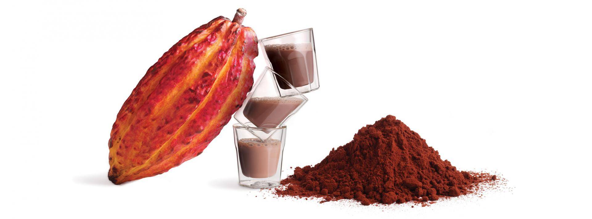 Bensdorp the finest cocoa powders for Dairy & Drinks applications