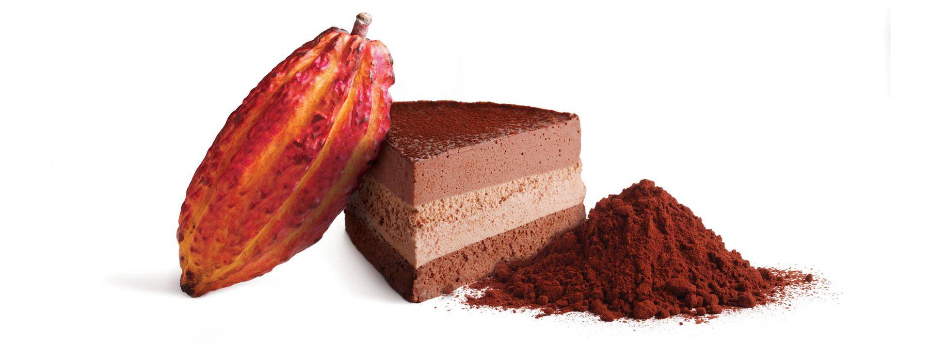 Bensdorp the Finest Cocoa Powders for Desserts