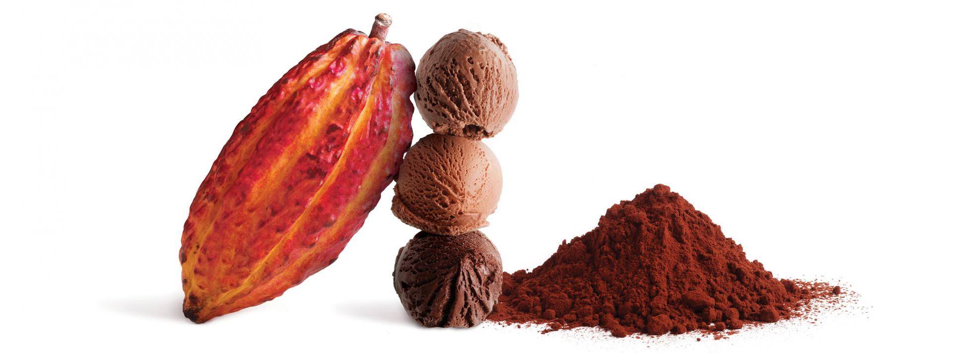 Bensdorp the finest cocoa powders for Ice cream applications