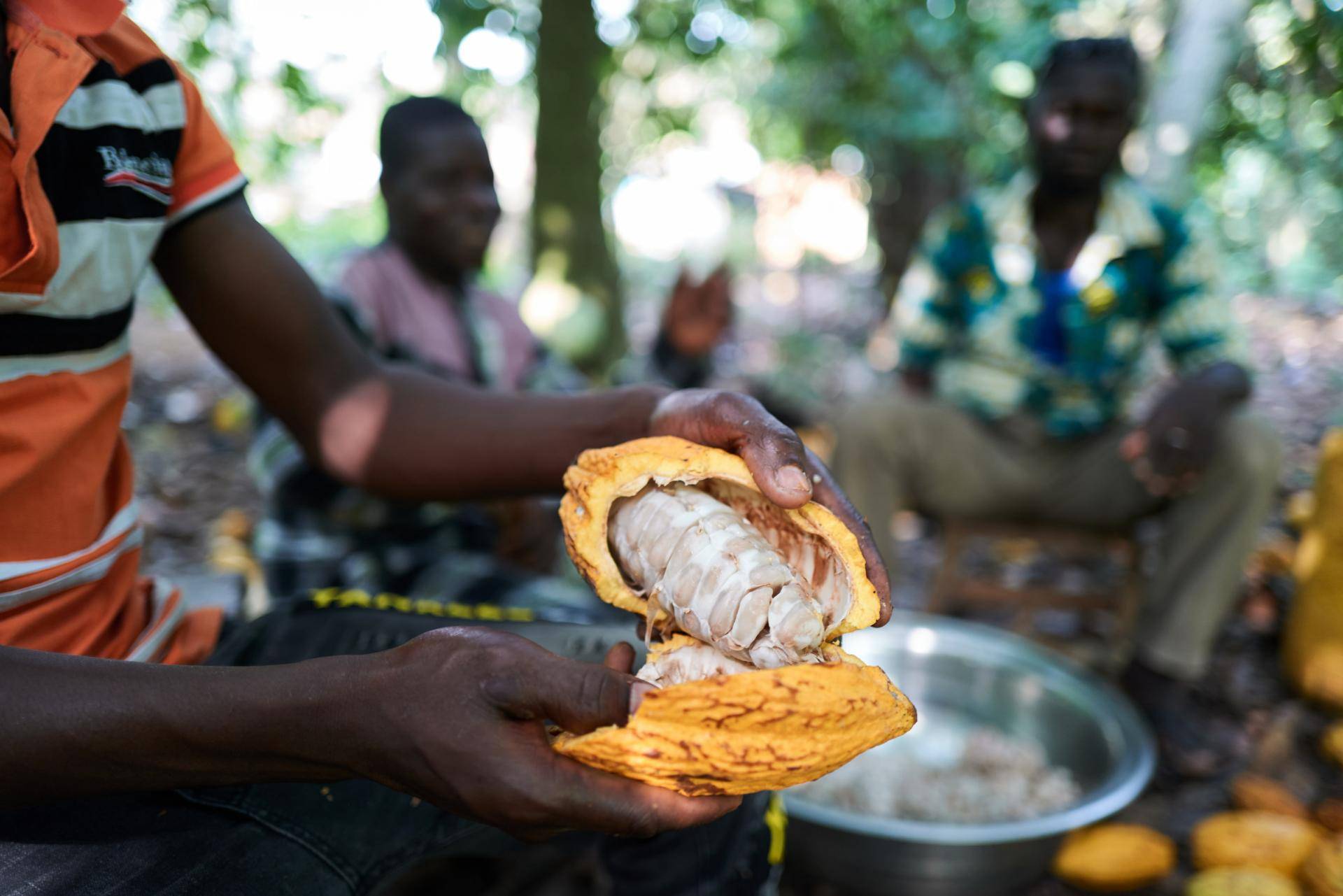 Sustainability Reports Barry Callebaut