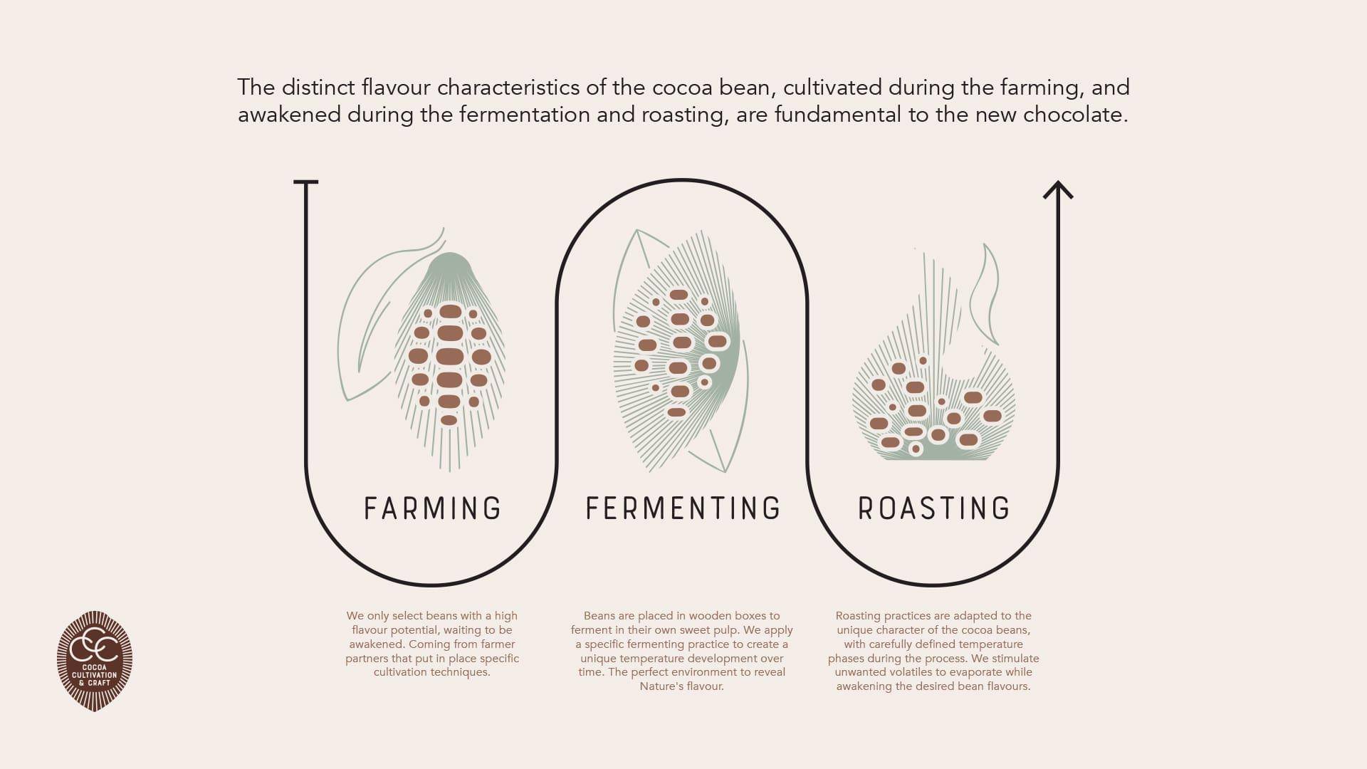 Cacao Process