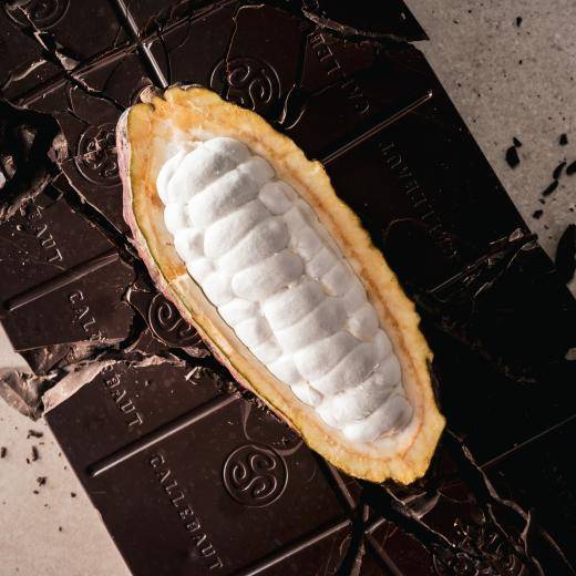 Barry Callebaut About Us