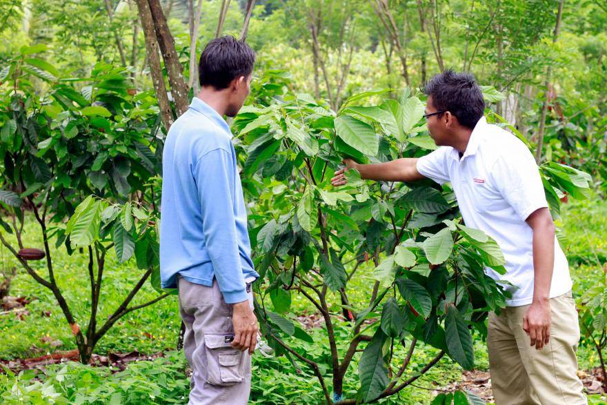 Barry Callebaut position