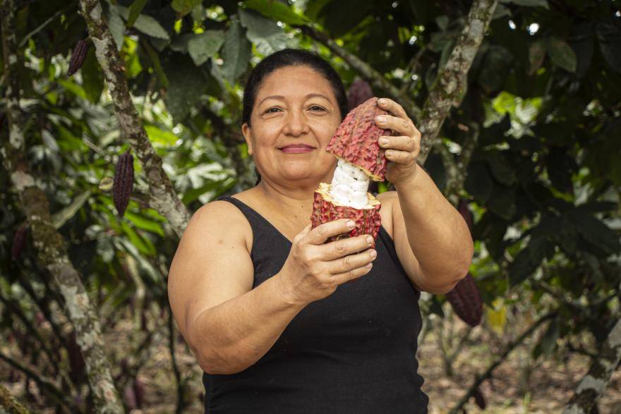 cacaofruit farmer with cacaofruit