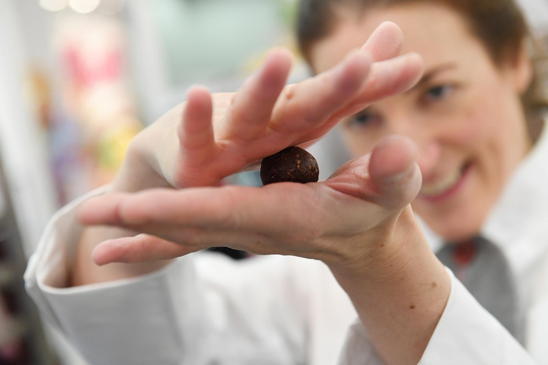 Barry Callebaut cocoa and chocolate expertise