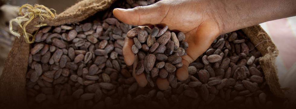 Bensdorp – Masters of Cacao since 1840