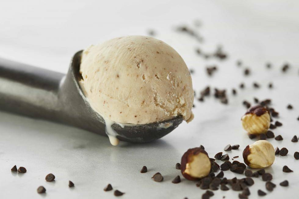 Ice Cream with Hazelnut Variegate