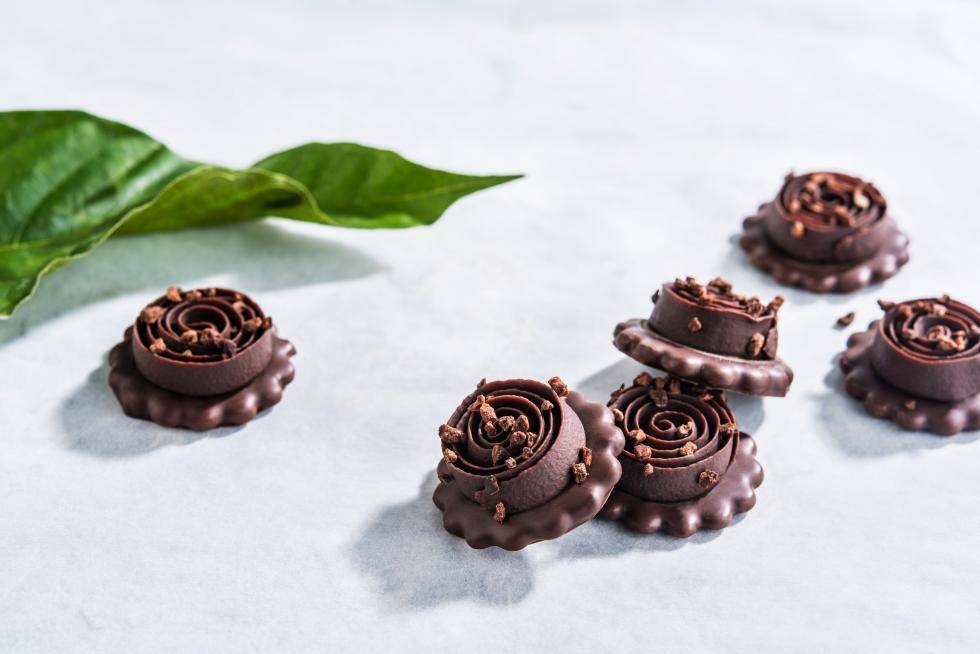 Barry Callebaut Group presents strategic growth priorities and Full Year Results 2022/23