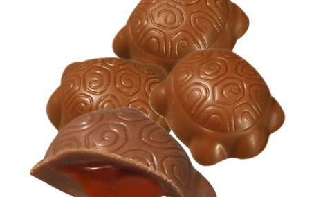 Mini turtles