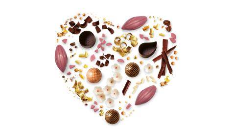 Barry Callebaut results