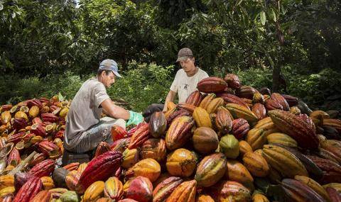 Barry Callebaut progress report Forever Chocolate 2016/17