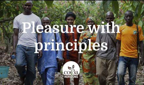 Pleasure with principles