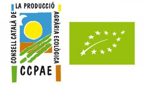 ccpae